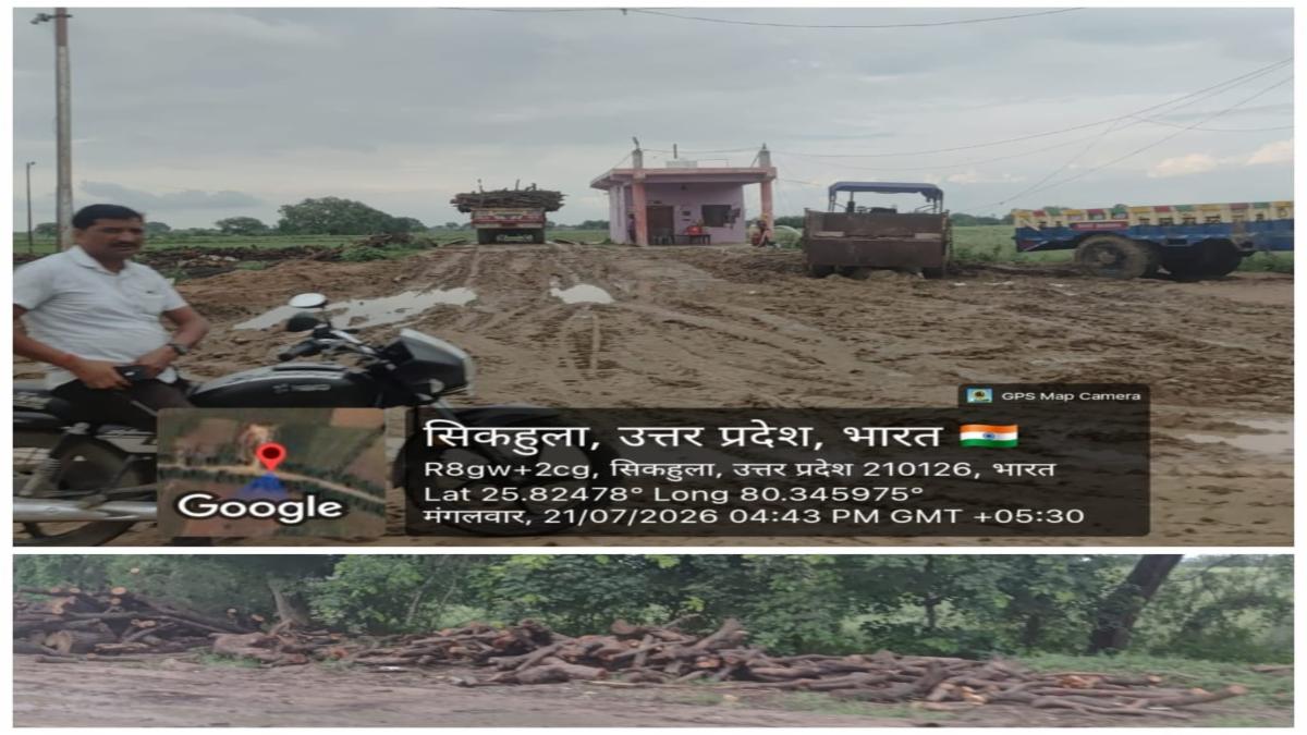 जसपुरा में गैंगस्टर के संरक्षण में अवैध पेड़ कटान, सड़क किनारे लकड़ियों से हादसों का खतरा